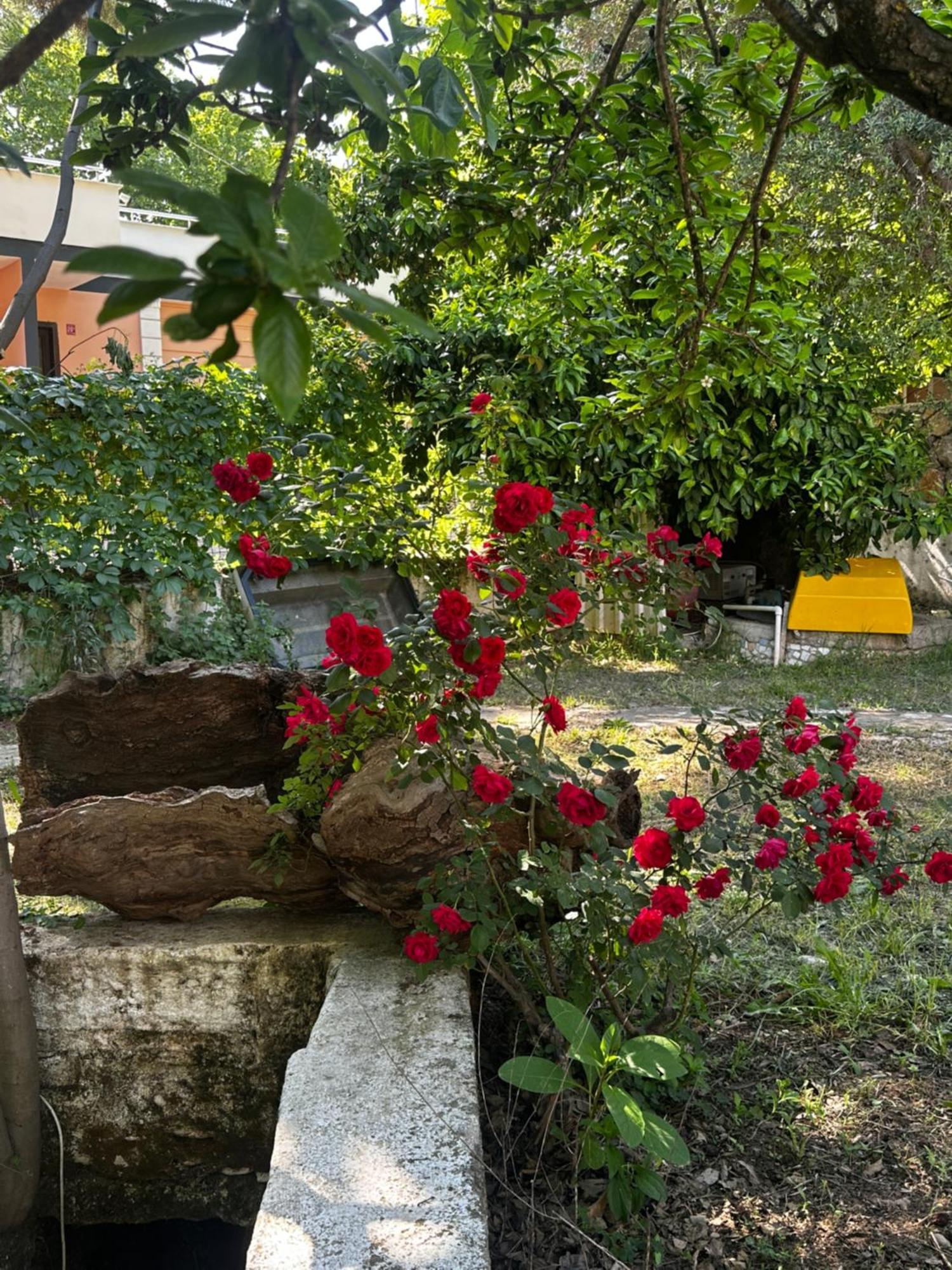 Sakliderebutikotel Эдремит Экстерьер фото